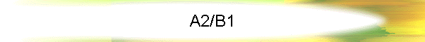 A2/B1