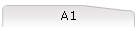 A1