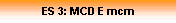 ES 3: MCD E mcm